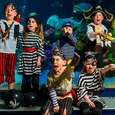 Slmi Birthday Party 730X440 | SEA LIFE Aquarium