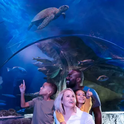 Tropical Ocean Exhibit