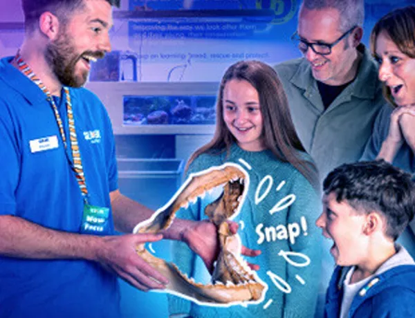 Beyond the Surface Tour | SEA LIFE Charlotte-Concord Aquarium