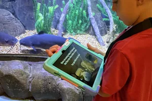 AR Experience