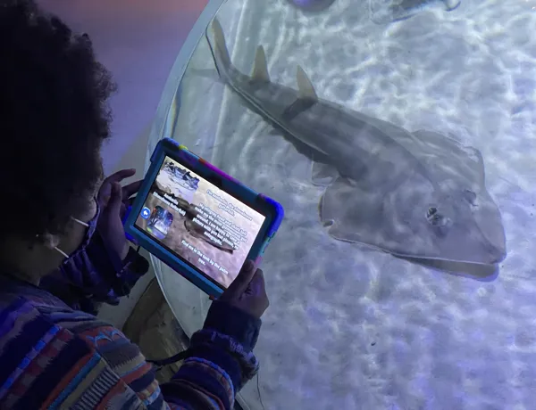 SEA LIFE Charlotte Concord Artglass Tablet (3)