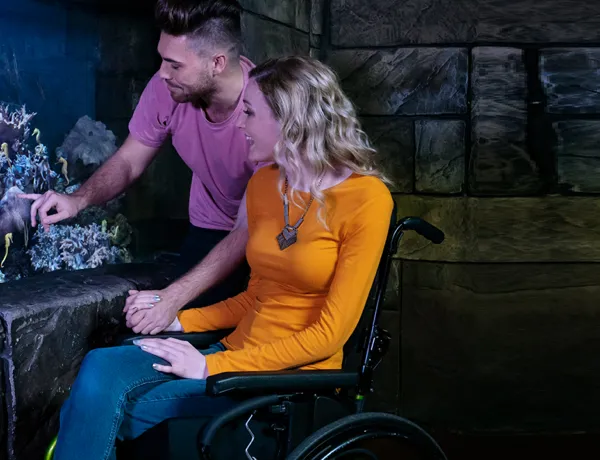 Handicap
